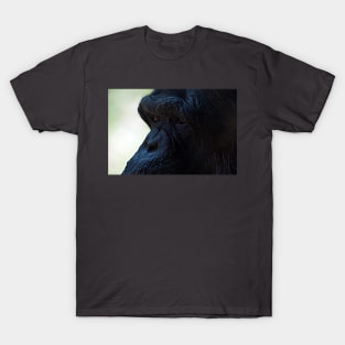 Gorrilla T-Shirt